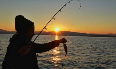 Dünya Balıkçılık Günü Çeşme'de kutlandı