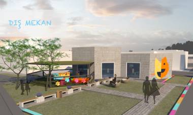 Engelli kediler güvenle yaşayacak