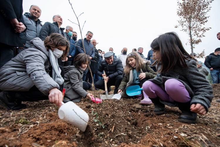 Soyer: Her bir ağaca dair sorumluluğumuz var
