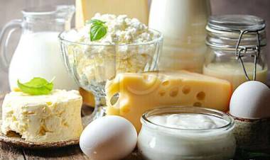 İçme Sütü Ve Yumurta Üretimi Azaldı!