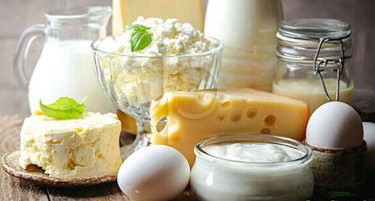 İçme Sütü Ve Yumurta Üretimi Azaldı!