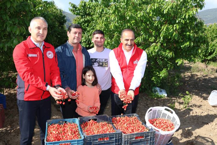 2023’ün İlk Kirazı Hasat Edildi!