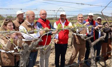 Türk Üzümü Dünya Sofralarına Kalıntısız Ulaşıyor!