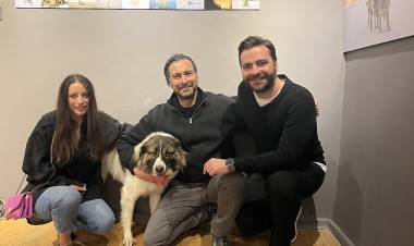 Sokak Köpeklerini Konu Alan Sergi Açıldı!