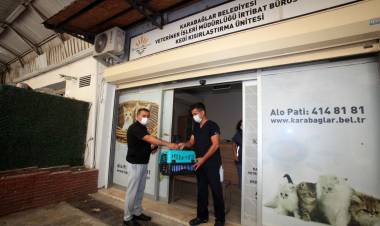 Hayvan Kısırlaştırmada Online Hizmet Dönemi!