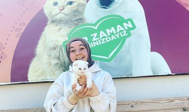 Depremzede Kediler Yeni Evlerine Kavuştu!