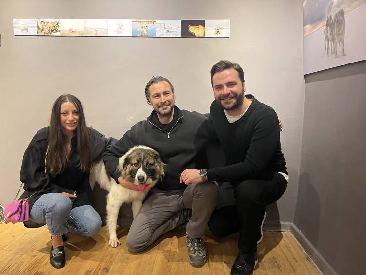 Sokak Köpeklerini Konu Alan Sergi Açıldı!