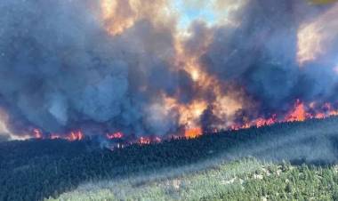 Kanada'da Ormanlar Alev Alev!