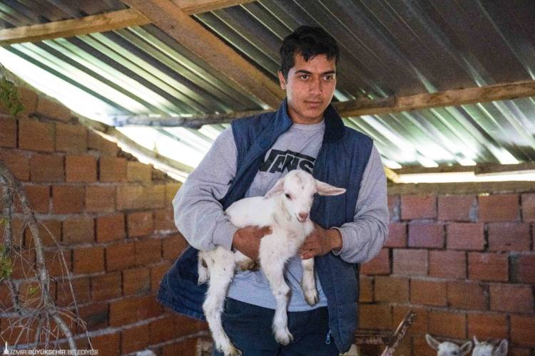 Kasaptan Et Alan Çoban Değilildir, Koyunun Sahibi Bakan Değildir!