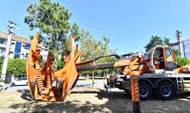 Ağaçlar 'Emanete' Alınıyor!