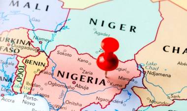 Nijer'de Darbe Girişimi!