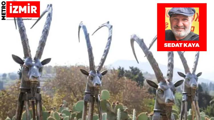 Keçi Heykeline Saldırı Ve  2000 Yıllık Trajedi!