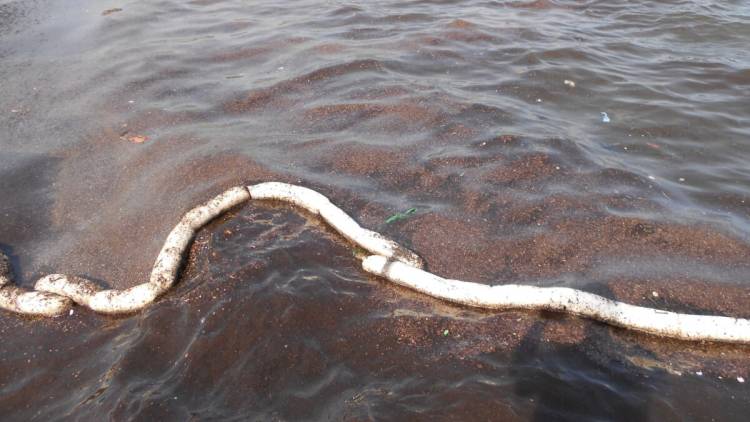 Faili Meçhul Atık!