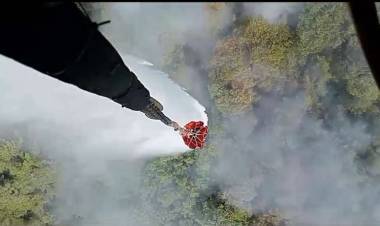 İzmir'de Orman Yangını!