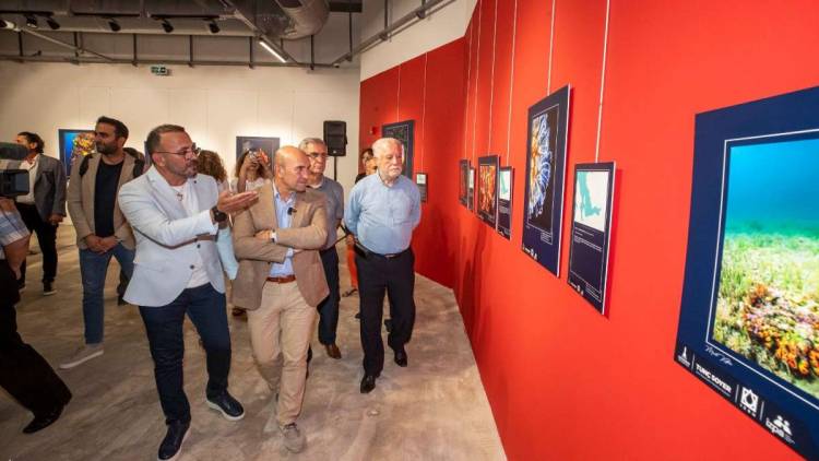 “Körfez’de Yüzmek Yakın! ”