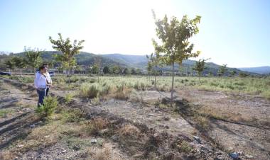 Efes Selçuk Pamucak Rekreasyon Alanı'na Yürüyüş Yolu Ekleyerek Yeşillendirmeye Devam Ediyor