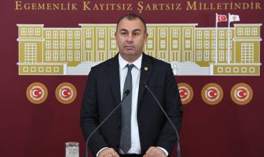 EDNAN ARSLAN: "AKKUYU DÜNYA'NIN EN PAHALI NÜKLEER SANTRALİ"