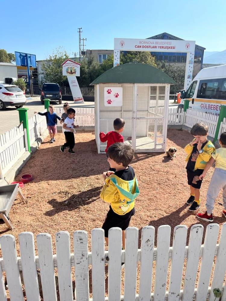 Bornova’da minik dostlar can dostlarıyla buluştu