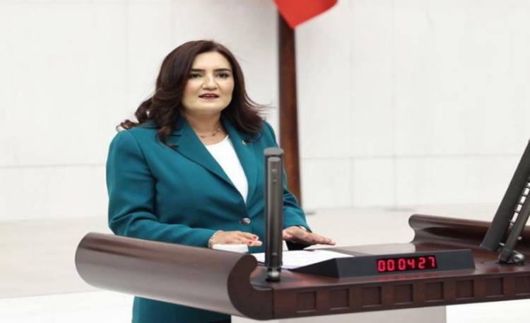 "Otorite bu bataklığı kurutmak için kullanılmalı"