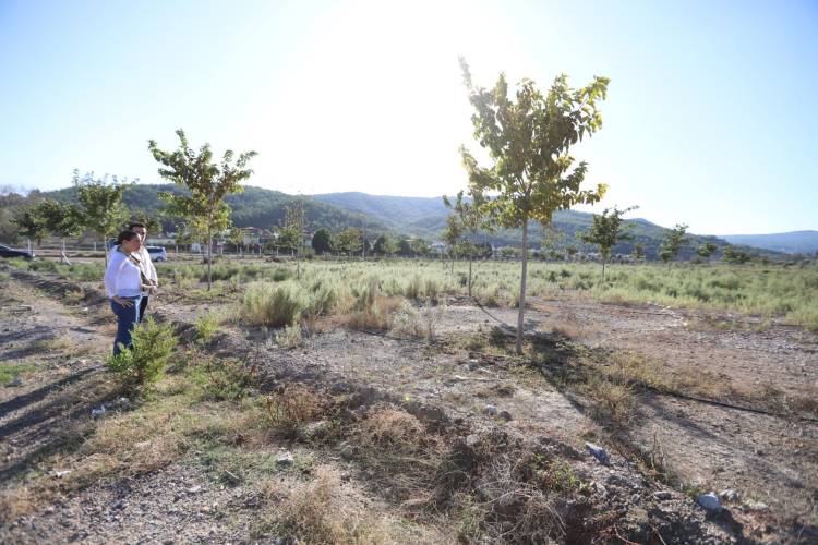 Efes Selçuk Pamucak Rekreasyon Alanı'na Yürüyüş Yolu Ekleyerek Yeşillendirmeye Devam Ediyor